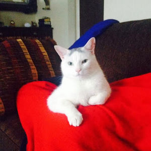 Meet your Posher, Eduardo